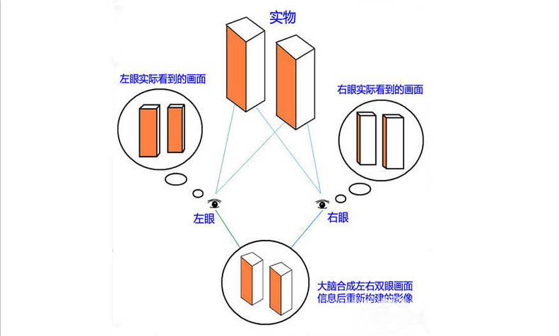 立体成像原理