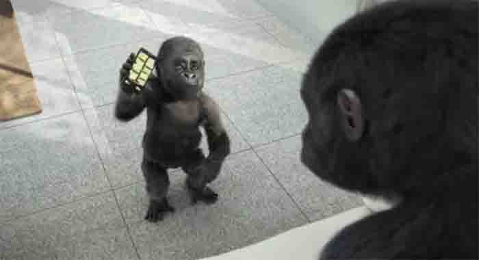 图2：康宁大猩猩玻璃创意广告动画制作