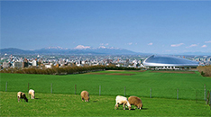 城市宣传片旅游型