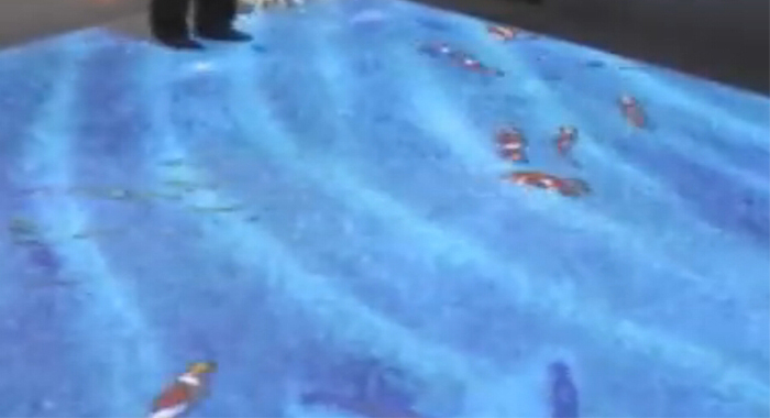 图1:地面投影水中鱼儿