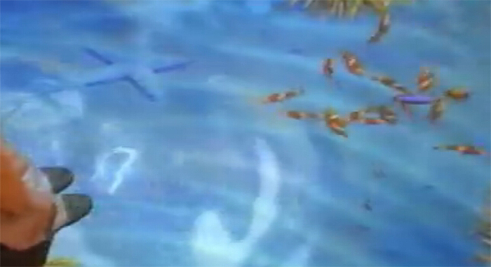 图3:地面投影水中鱼儿