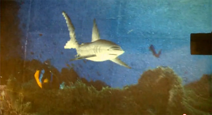 图4：地面投影之凶猛的鲨鱼