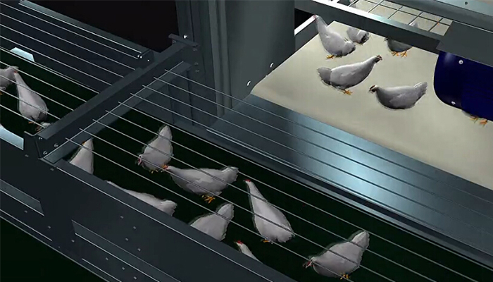 层叠式肉鸡笼养系统机械动画截图4